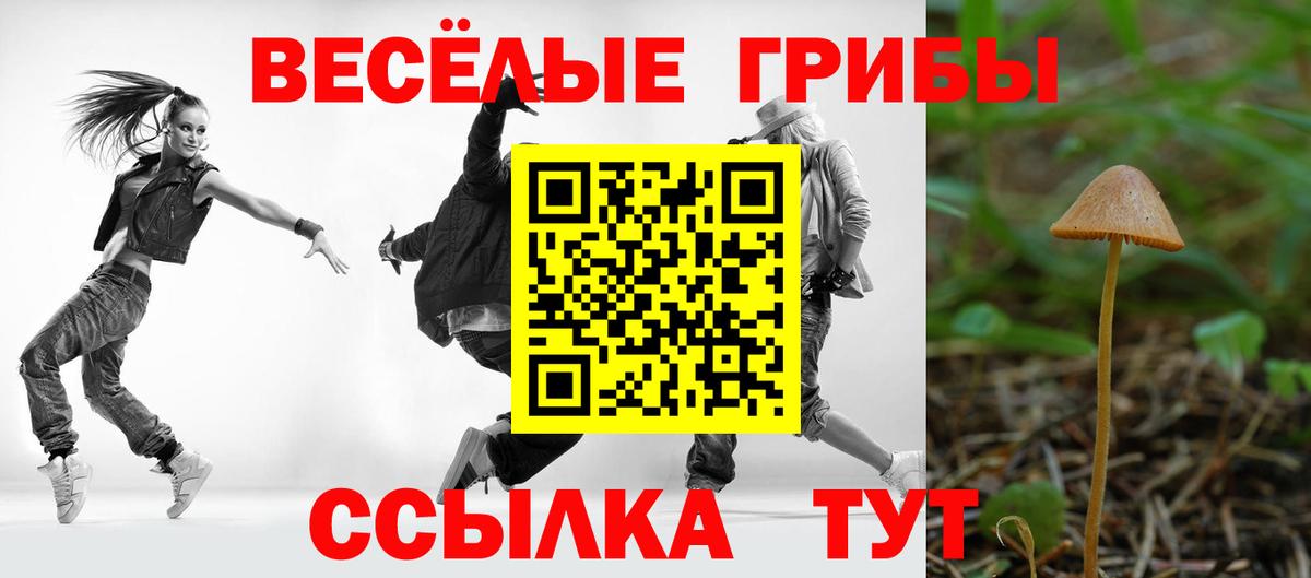 Галлюциногенные грибы Magic Shrooms Волжск